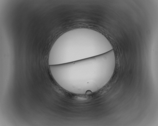 X0000111210567200907081304