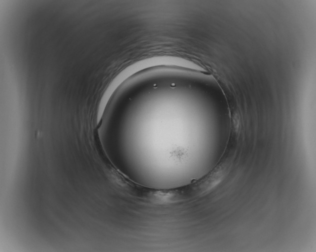 X0000111210570200907081304