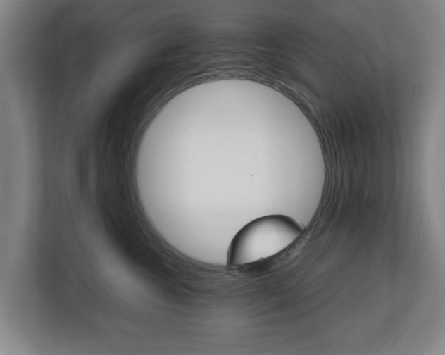 X0000111210572200907081304