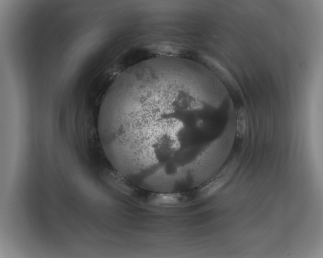 X0000111210573200907081304