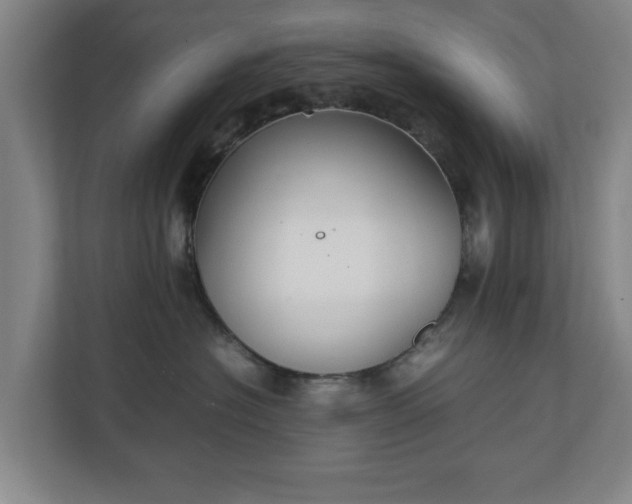 X0000111210574200907081304