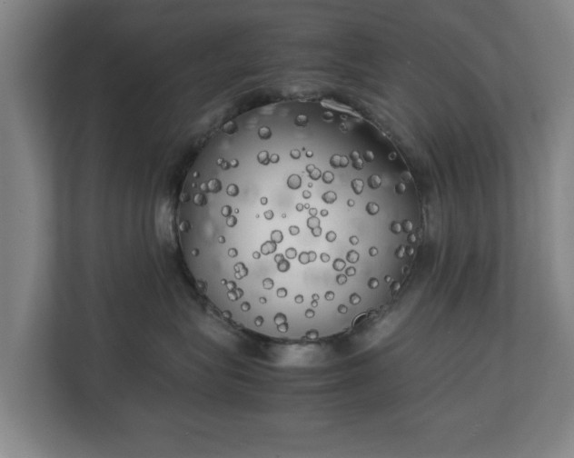 X0000111210575200907081304