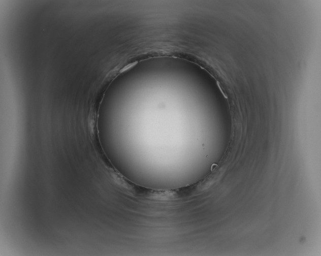 X0000111210576200907081304