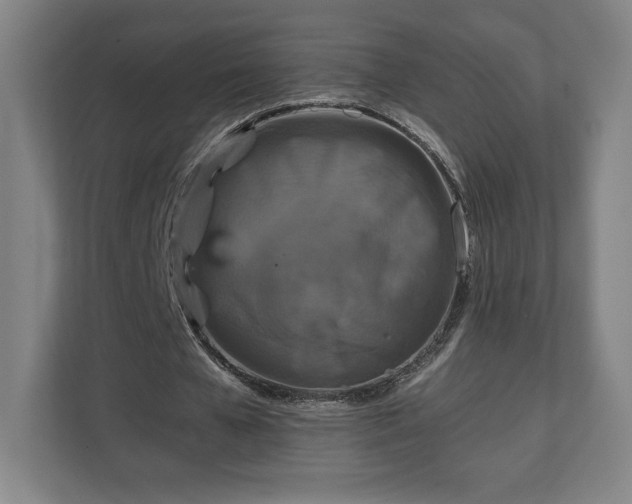 X0000111210577200907081303