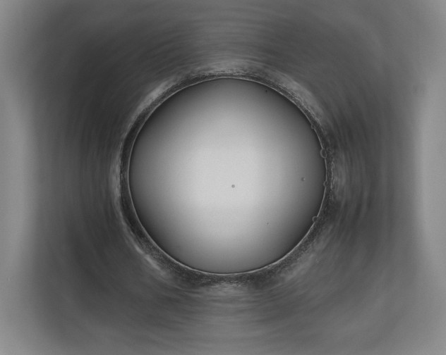 X0000111210578200907081303