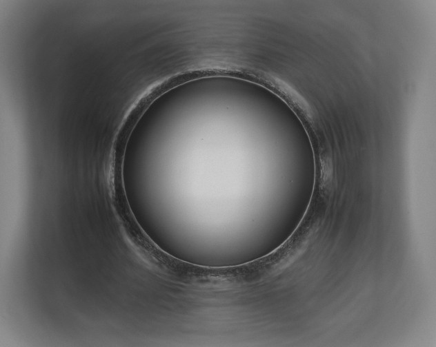 X0000111210580200907081303