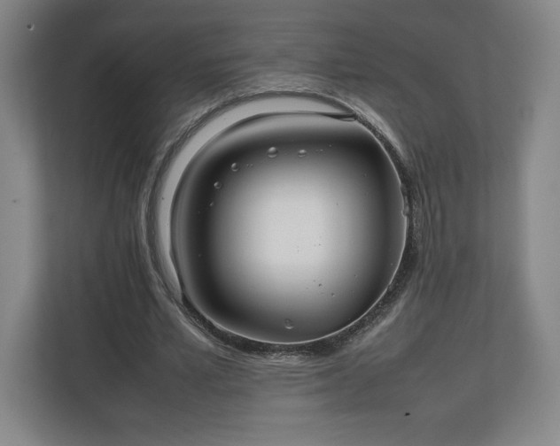 X0000111210581200907081303