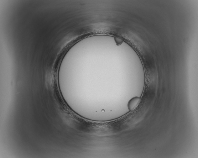 X0000111210583200907081303