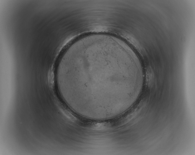 X0000111210584200907081303