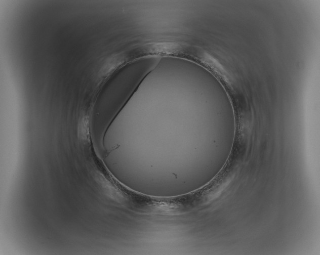 X0000111210585200907081303