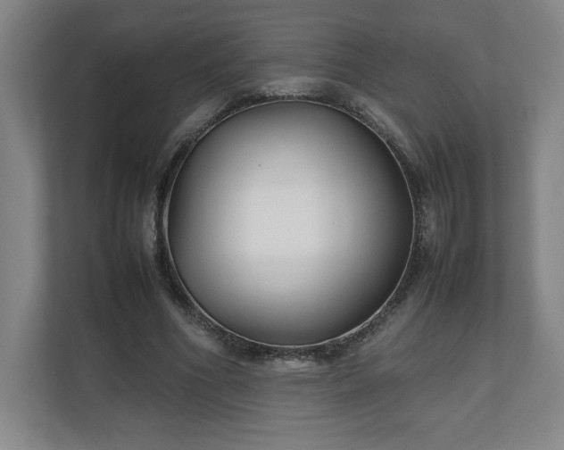 X0000111210586200907081303