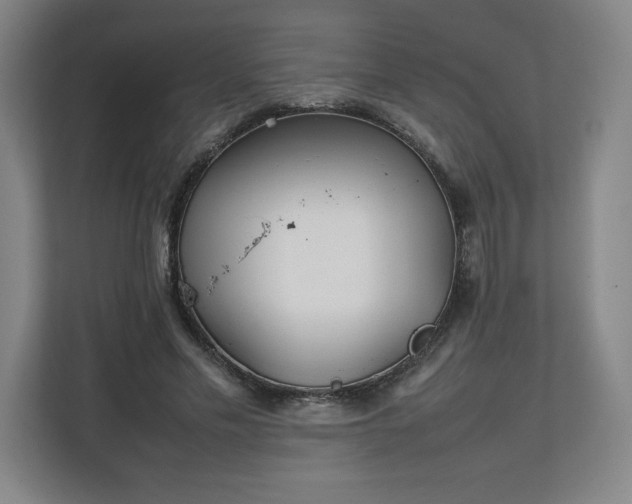 X0000111210589200907081303