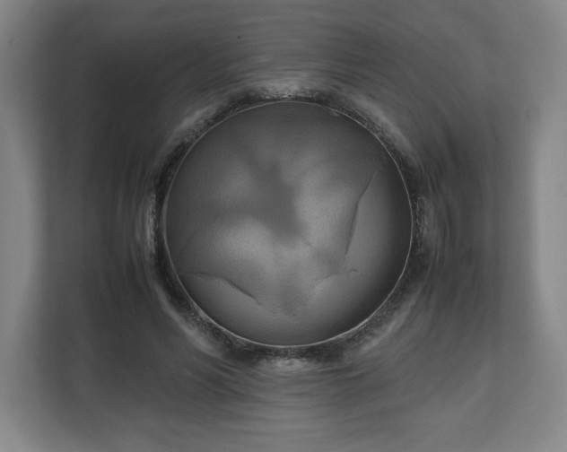 X0000111210590200907081303