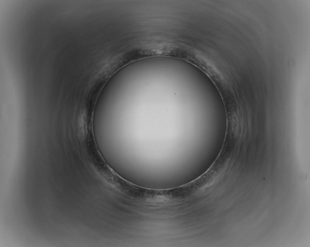 X0000111210594200907081303