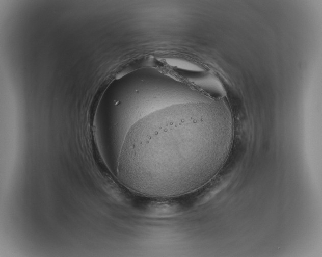 X0000111210597200907081303