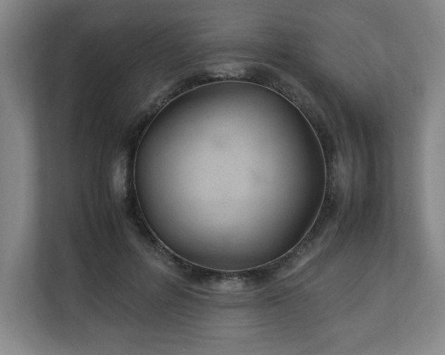 X0000111210600200907081303