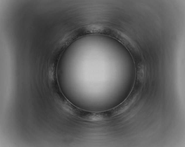 X0000111210604200907081303