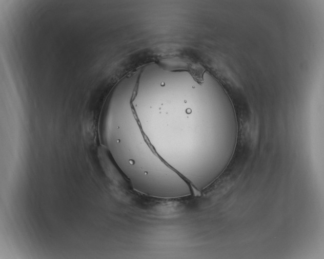 X0000111210609200907081303