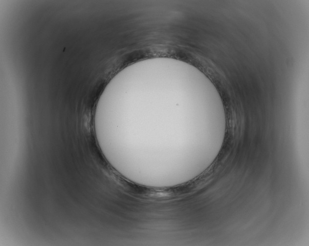 X0000111210610200907081303