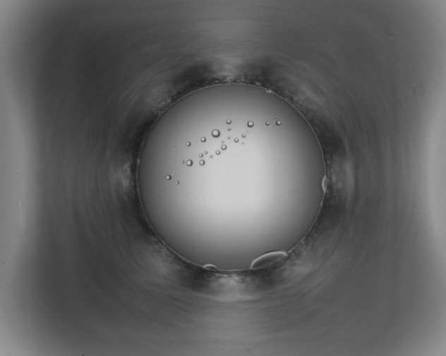 X0000111210611200907081303