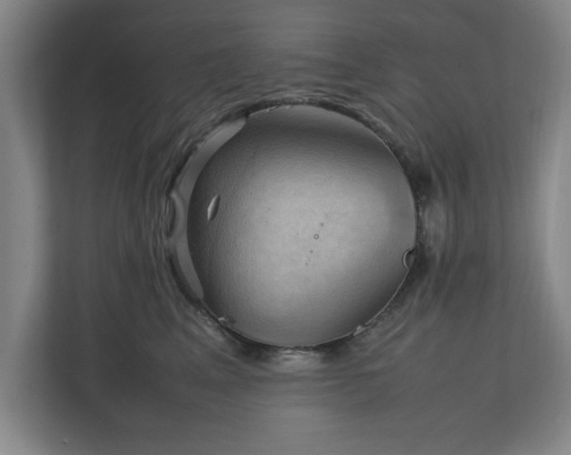 X0000111210617200907081303