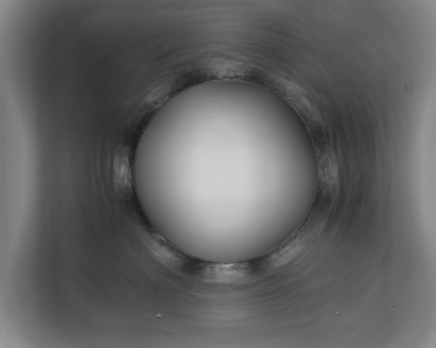 X0000111210622200907081303