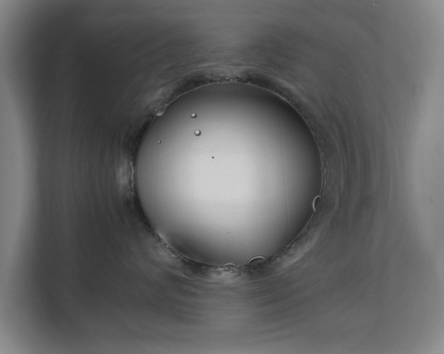 X0000111210624200907081303