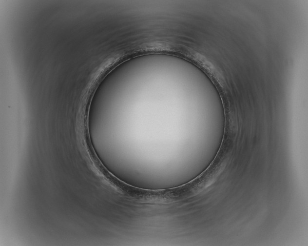 X0000111210625200907081302