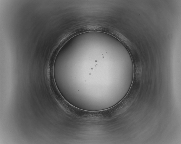 X0000111210626200907081302