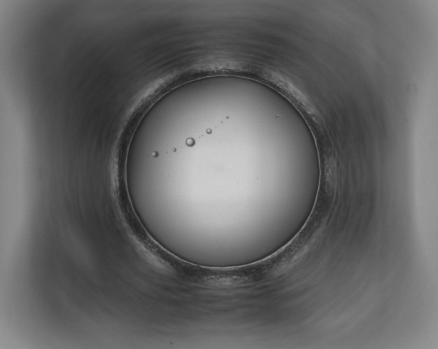 X0000111210629200907081302