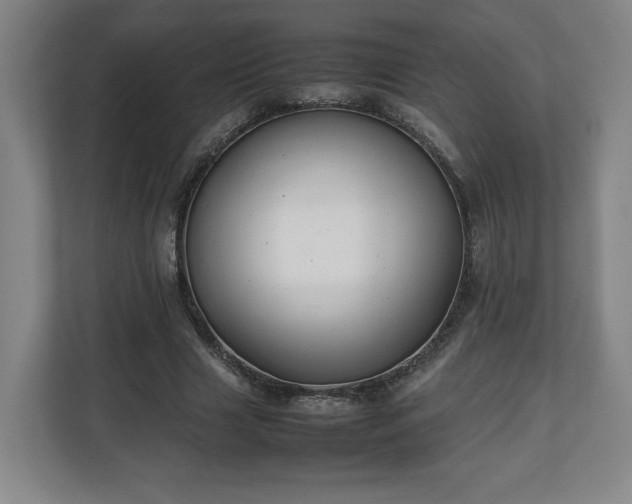 X0000111210633200907081302