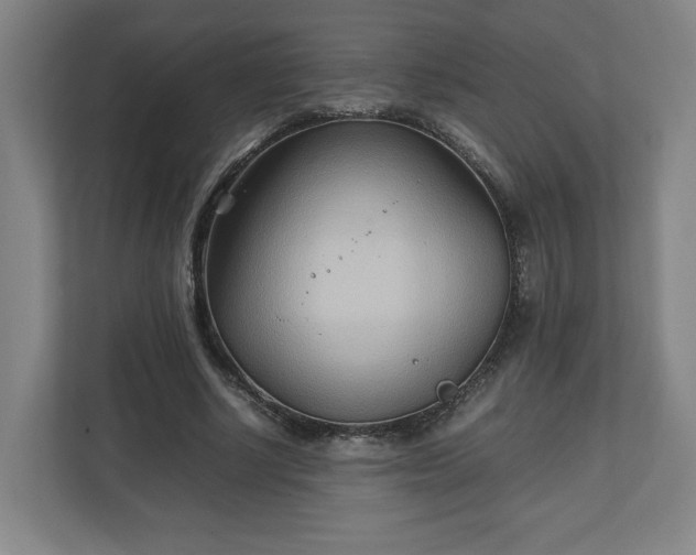 X0000111210634200907081302