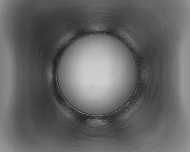 X0000111210635200907081302