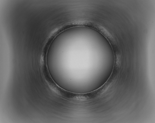 X0000111210636200907081302