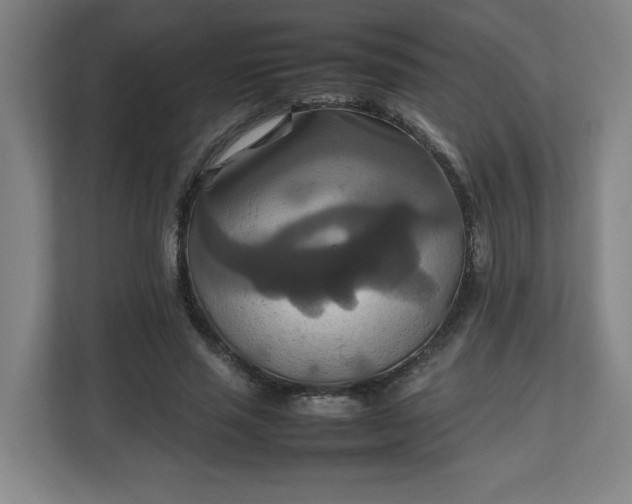 X0000111210637200907081302