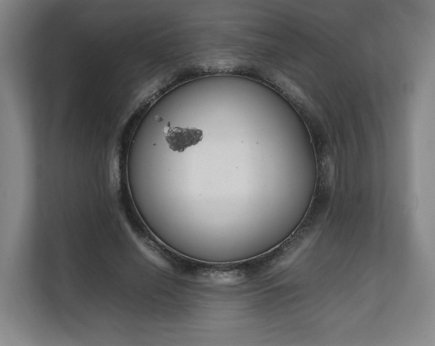 X0000111210638200907081302