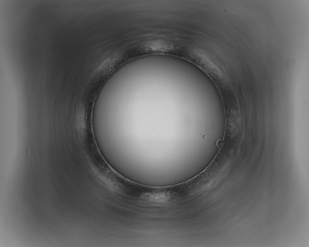 X0000111210639200907081302