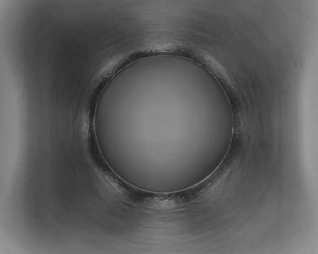 X0000111210640200907081302