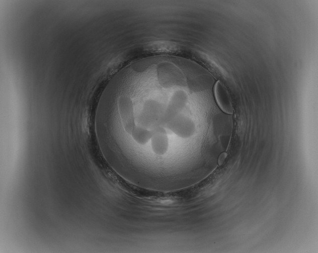 X0000111210643200907081302