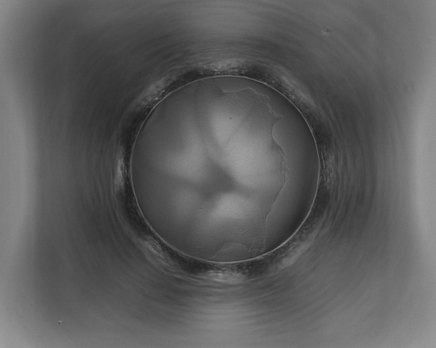 X0000111210644200907081302