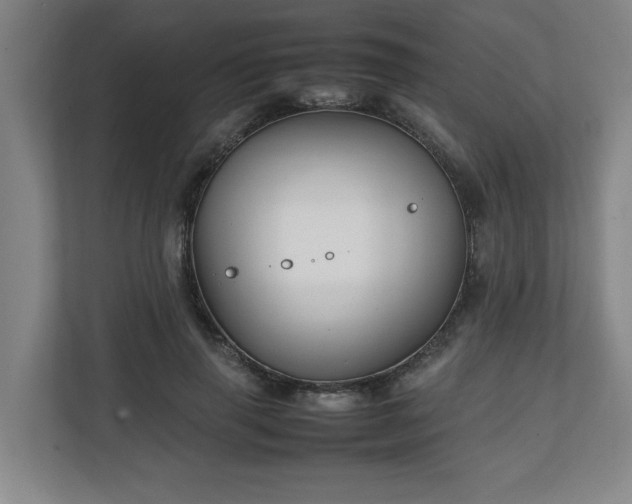 X0000111210645200907081303