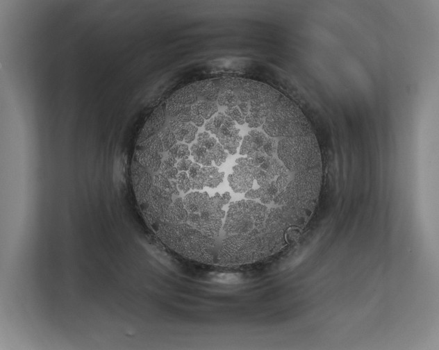 X0000111210649200907081303