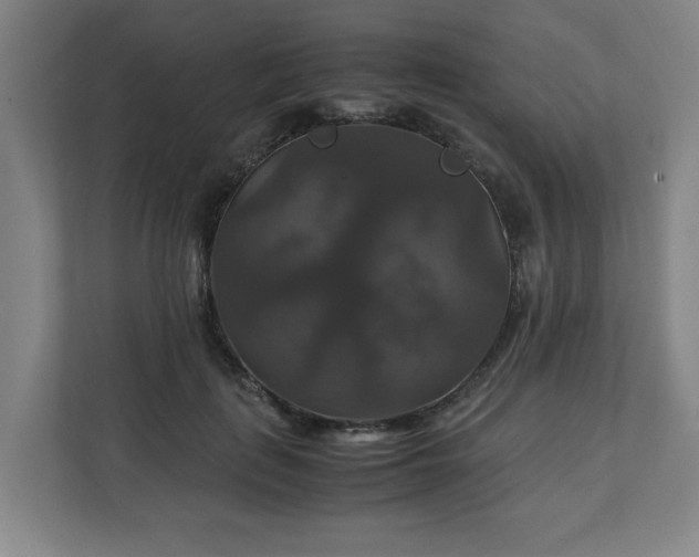 X0000111210651200907081303