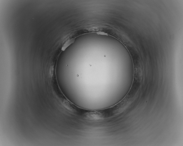 X0000111210652200907081303