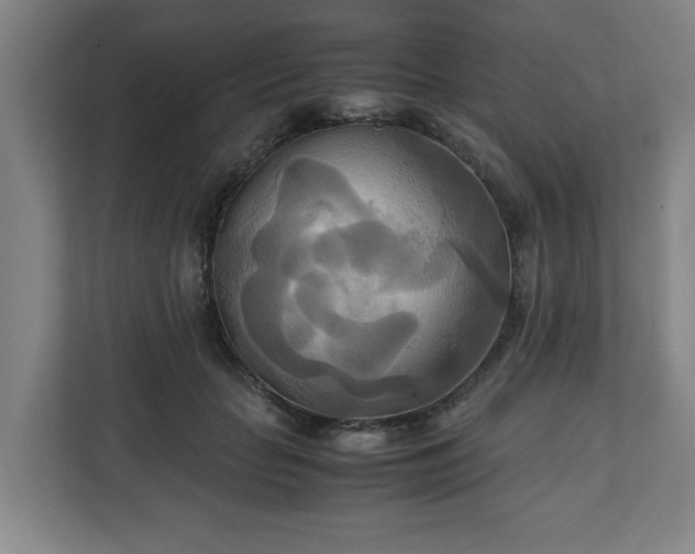 X0000111210653200907081303