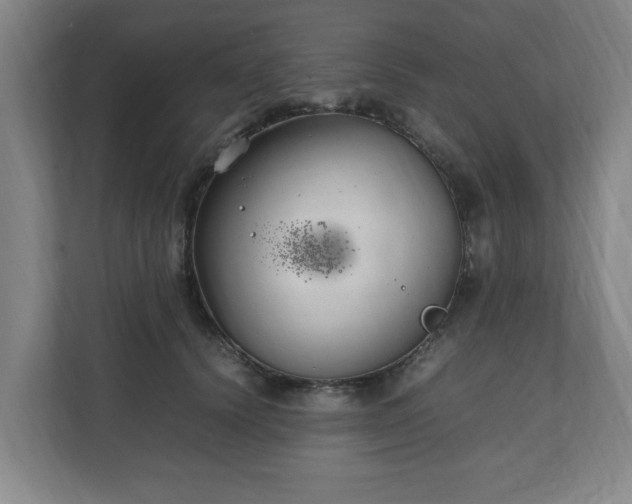 X0000111210656200907081303