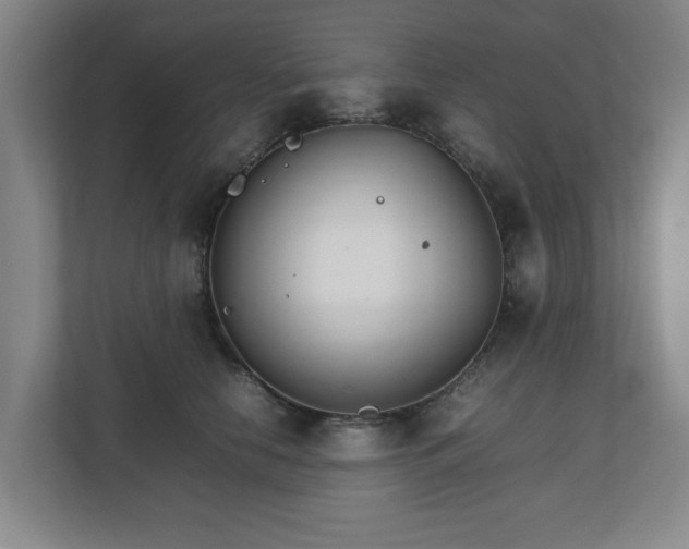 X0000111210658200907081303