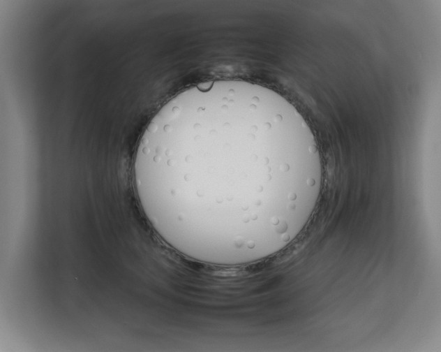 X0000111210659200907081303