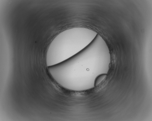 X0000111210664200907081303