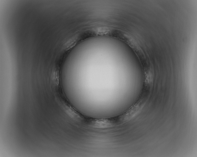 X0000111210666200907081303